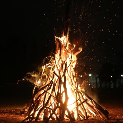 Imágenes para el Adviento