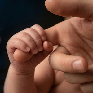 Los mansos ya no heredan la tierra