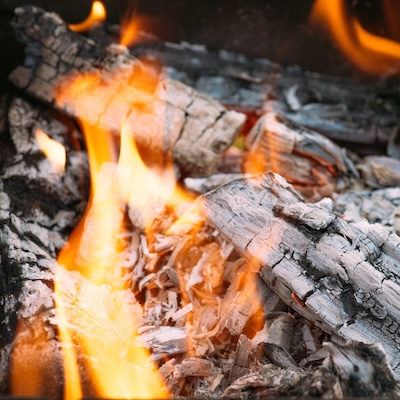 Alimentarse del fuego sagrado