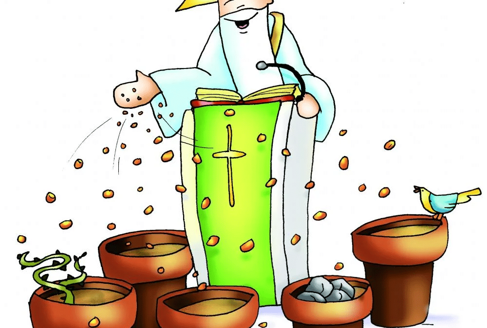Evangelio Seglar para el Domingo del 12 de julio de 2026