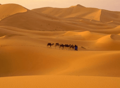 El desierto (6 de diciembre)