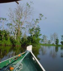 El Amazonas.