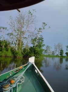 El Amazonas.