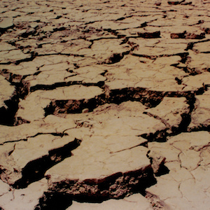 “¡Riega la tierra en sequía!” ¿Bloqueo vocacional?