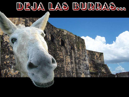 Deja las burras