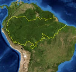 Amazonia devastada