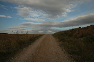 Camino (JPG)