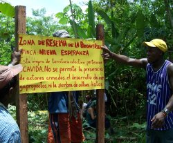 Colombia : crisis humanitaria y erosión del estado de derecho