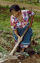 SENCILLAMENTE MUJER