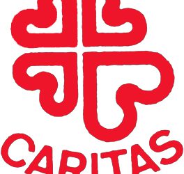Los fondos invertidos por Cáritas subieron un 8% en 2008