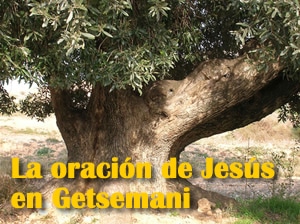 La oración de Jesús en Getsemani